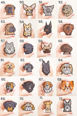 Evcil Hayvan Sahiplerine Özel Köpek Irkı Nakışlı Şapka